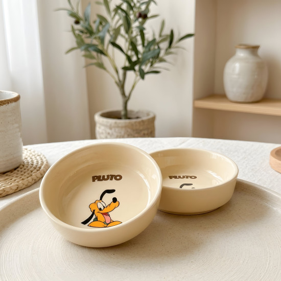 Porcelain Dinnerware Set 9 Pcs